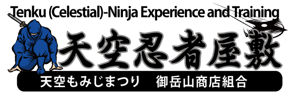 天空忍者屋敷